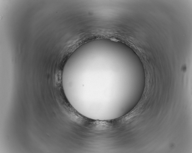 X0000091210528200708091118