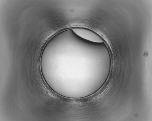 X0000091210529200708091117