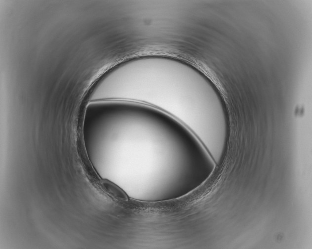 X0000091210530200708091117