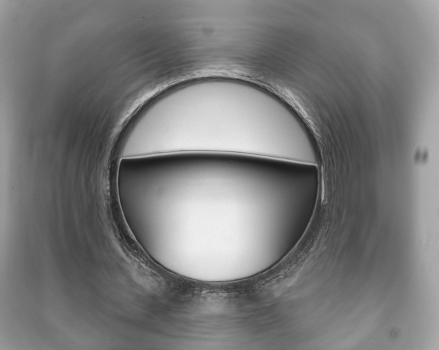 X0000091210531200708091117