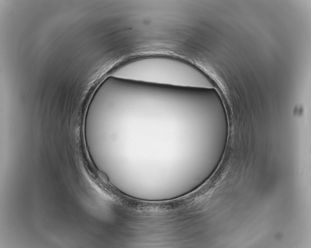 X0000091210533200708091117
