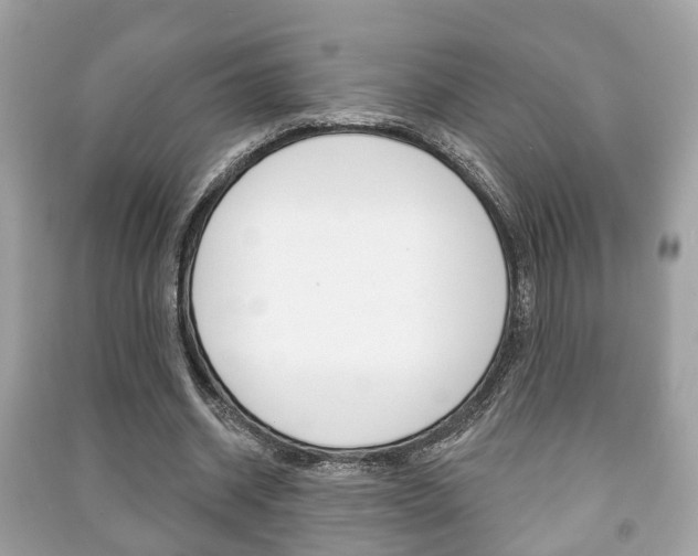 X0000091210534200708091117