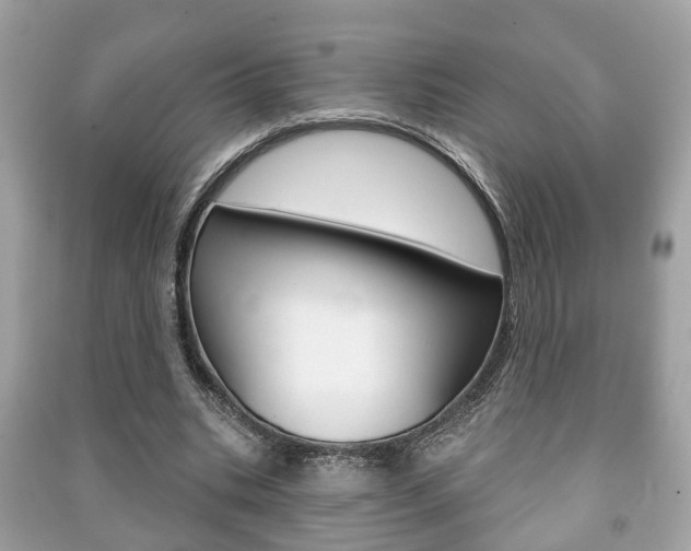 X0000091210535200708091118