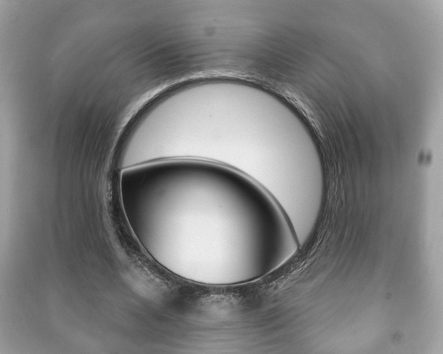X0000091210536200708091118