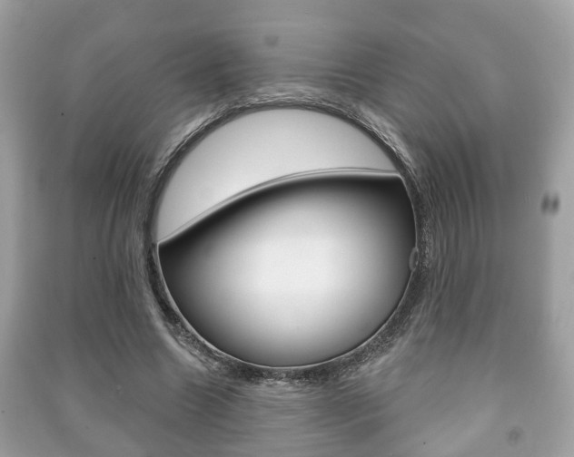 X0000091210538200708091118