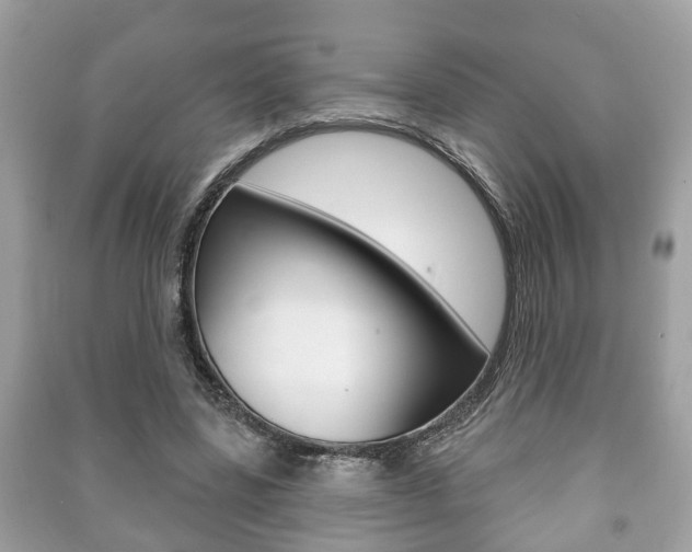 X0000091210539200708091118