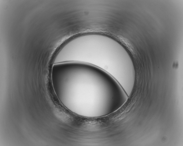 X0000091210540200708091118