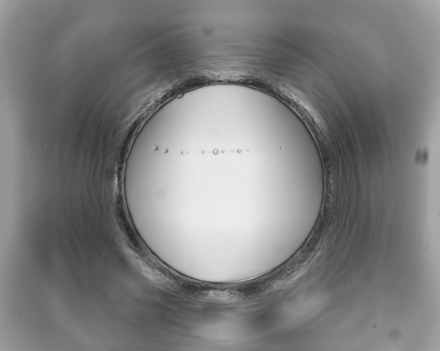 X0000091210541200708091118
