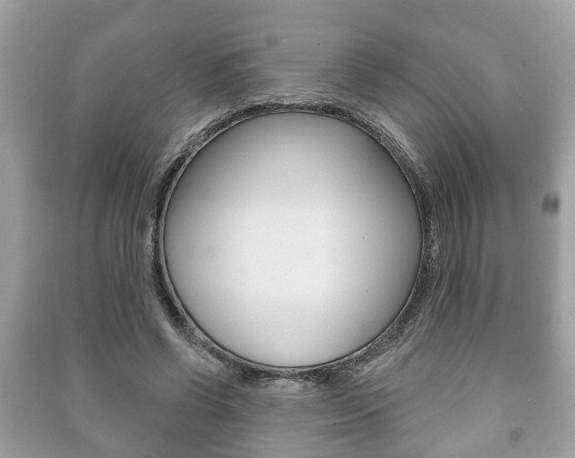 X0000091210542200708091118