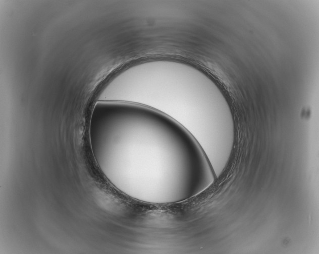 X0000091210544200708091118