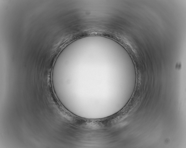 X0000091210545200708091118