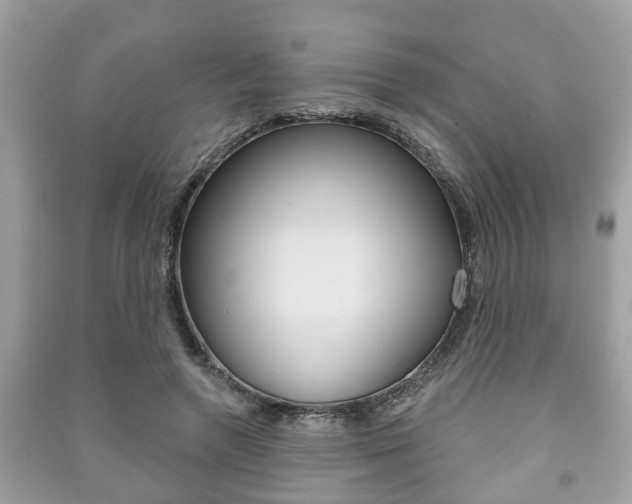 X0000091210546200708091118