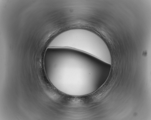 X0000091210547200708091118