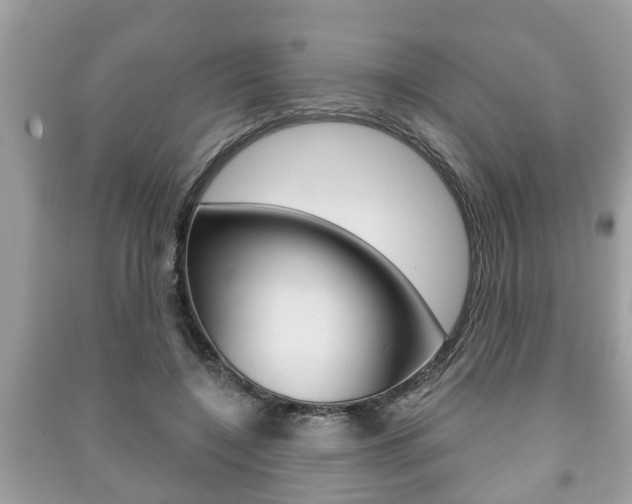 X0000091210548200708091118