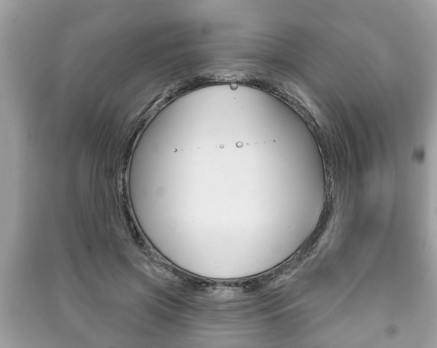 X0000091210549200708091118