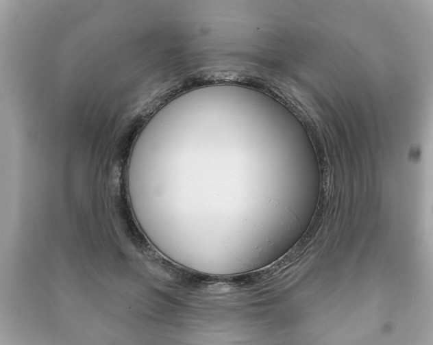 X0000091210551200708091118