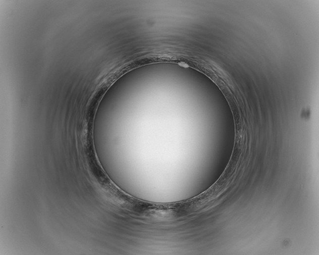 X0000091210552200708091118