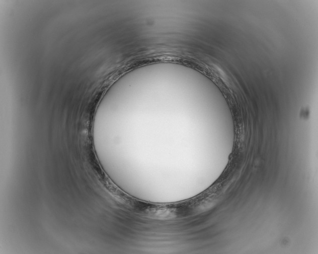 X0000091210553200708091118