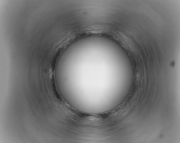 X0000091210555200708091118