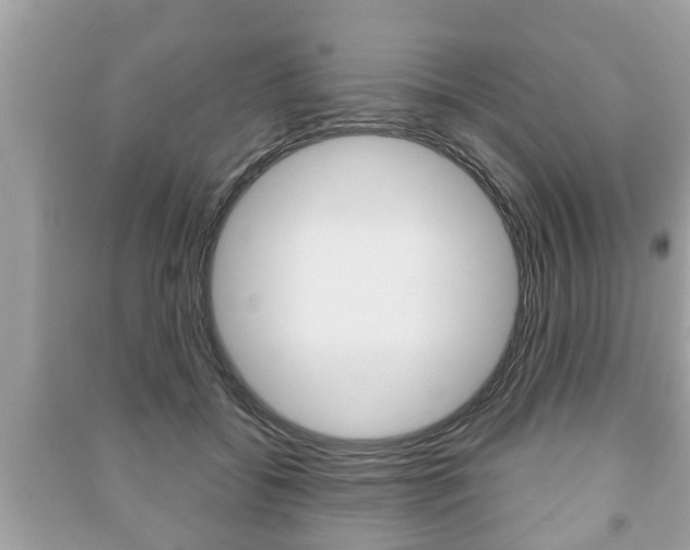 X0000091210556200708091118