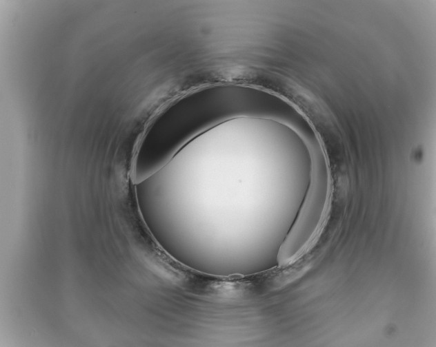 X0000091210558200708091118