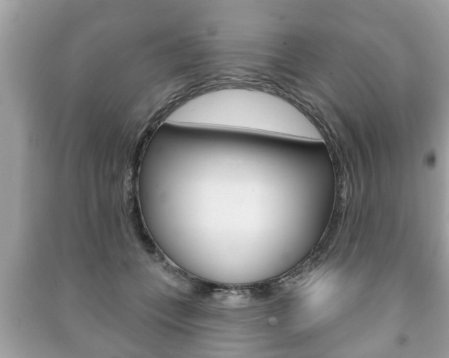 X0000091210559200708091118