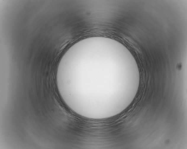 X0000091210560200708091118