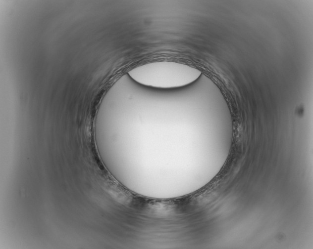 X0000091210561200708091118