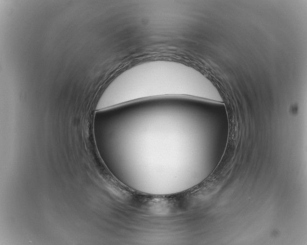 X0000091210562200708091118