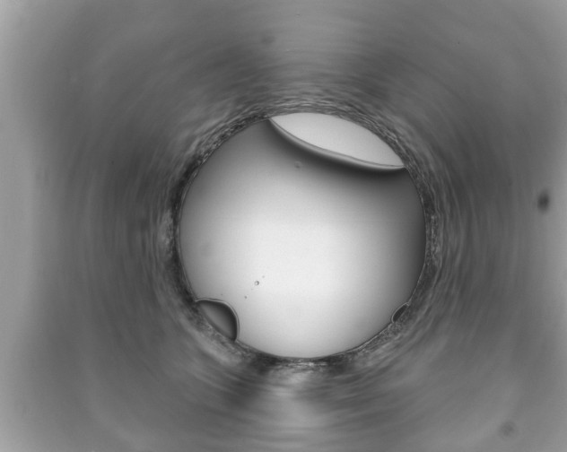 X0000091210563200708091118