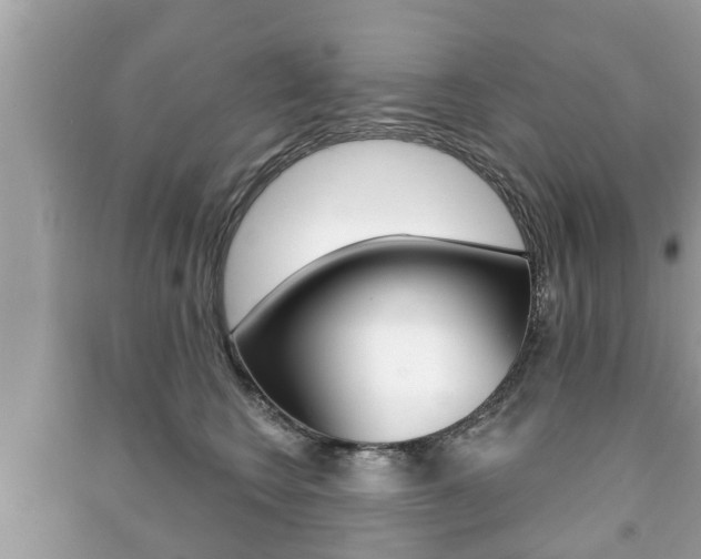 X0000091210566200708091118
