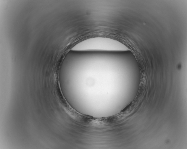 X0000091210568200708091118