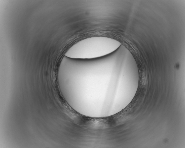 X0000091210569200708091118