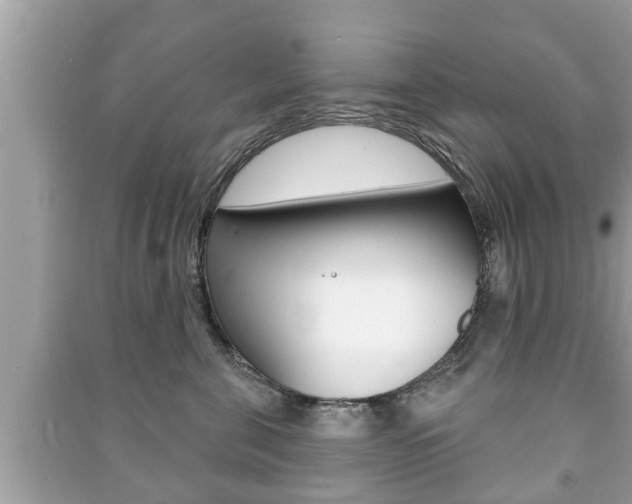 X0000091210571200708091118