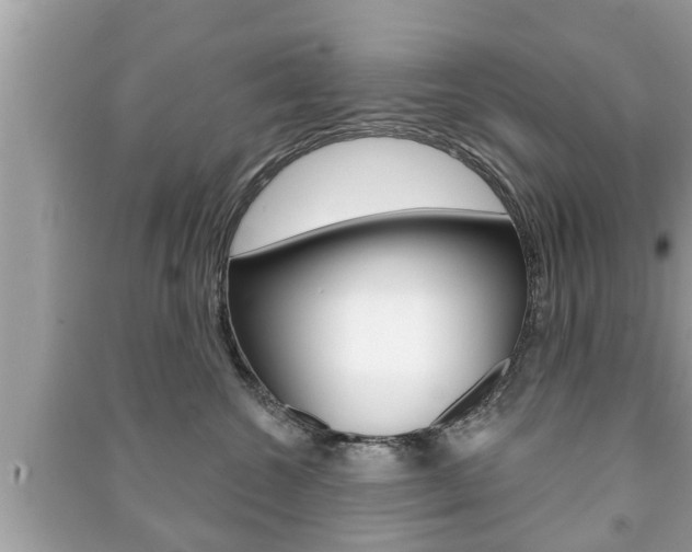 X0000091210572200708091118