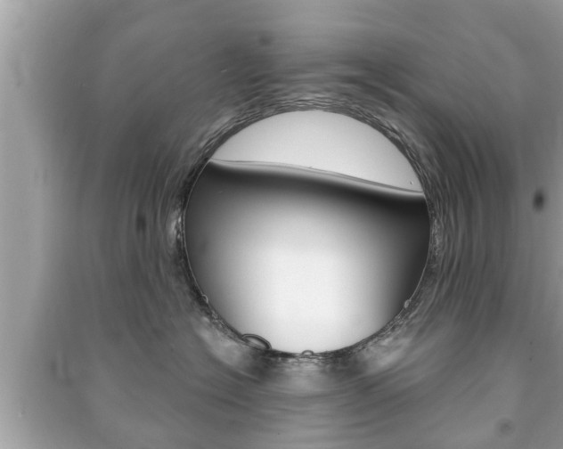 X0000091210574200708091118