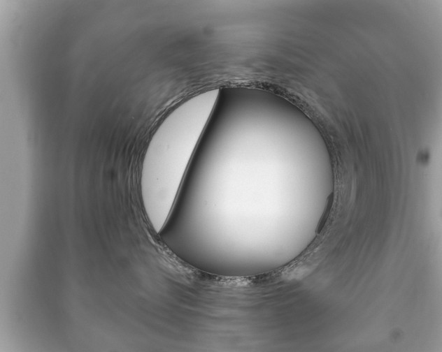 X0000091210576200708091118