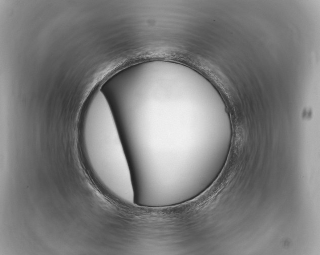 X0000091210578200708091117