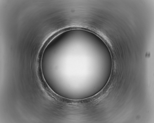 X0000091210580200708091117