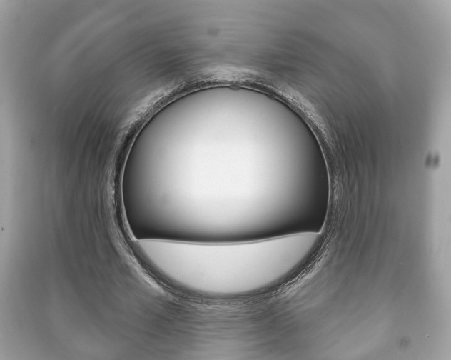 X0000091210581200708091117