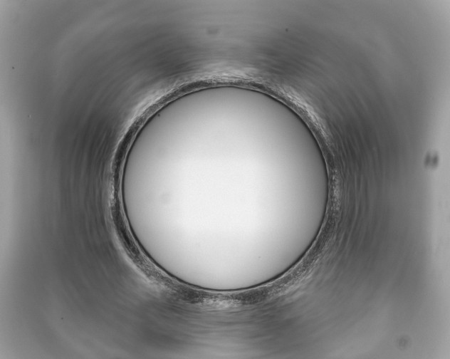 X0000091210582200708091117