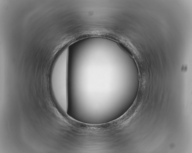 X0000091210585200708091117