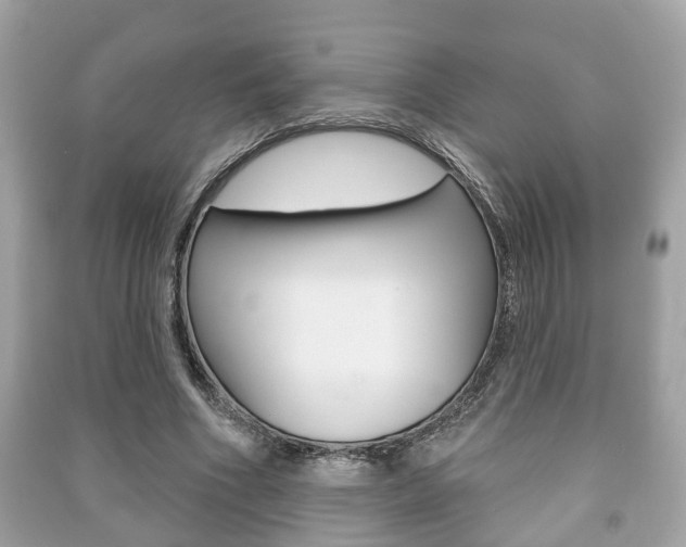 X0000091210586200708091117