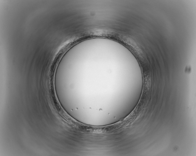 X0000091210587200708091117
