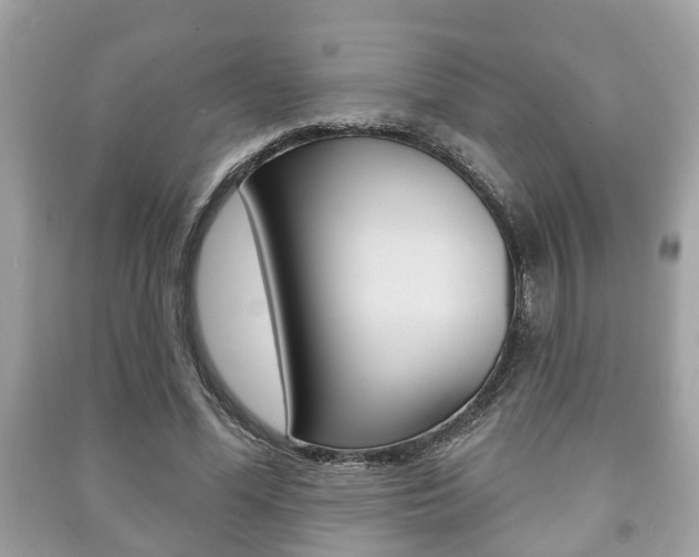 X0000091210588200708091117