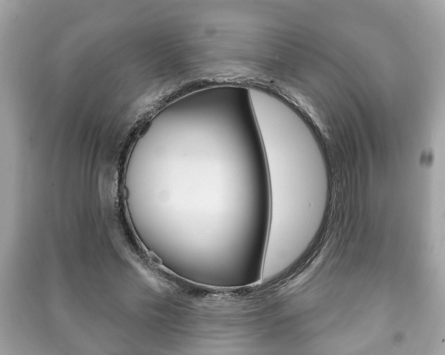 X0000091210589200708091117