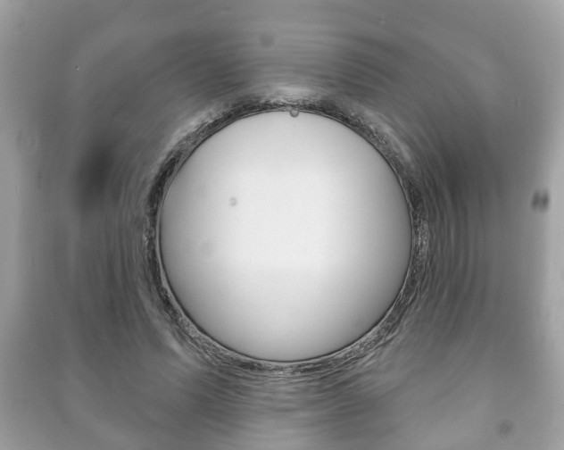 X0000091210591200708091117