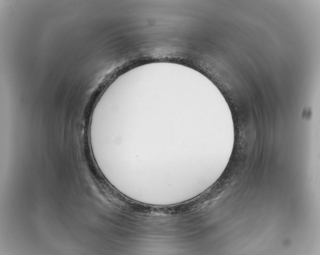 X0000091210592200708091117