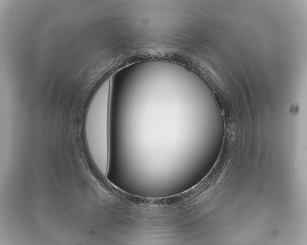 X0000091210593200708091117