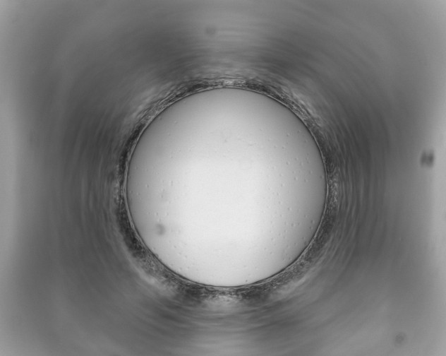 X0000091210594200708091117
